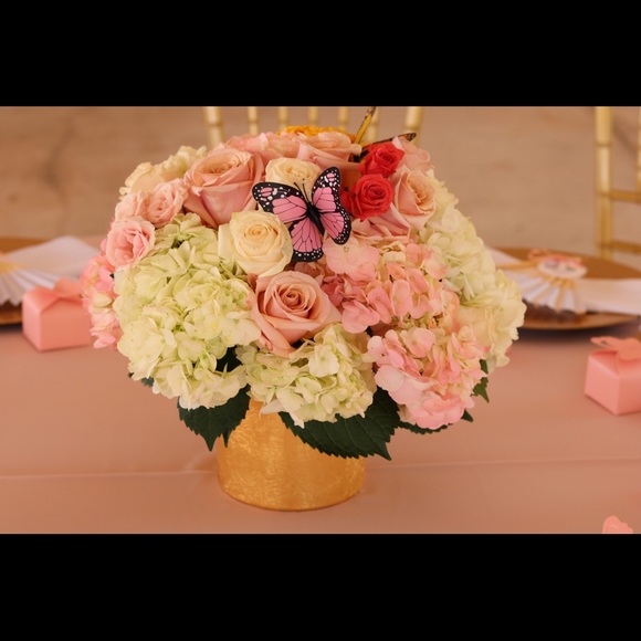 Meet your Posher, Farrah - Picture 1 of 1